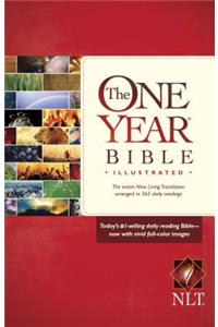 One Year Bible-NLT-Illustrated