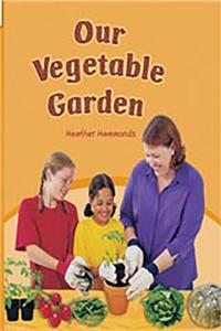 Rigby Flying Colors: Leveled Reader Bookroom Package Green Our Vegetable Garden