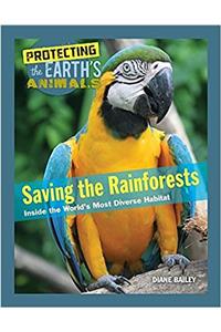 Saving the Rainforests