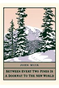 Pine by John Muir (Boxed)