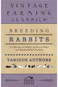 Breeding Rabbits - A Collection of Helpful Articles on Hints and Tips for Rabbit Breeding