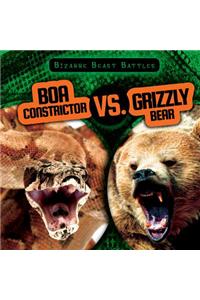 Boa Constrictor vs. Grizzly Bear