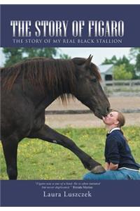 The Story of Figaro