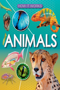 Animals
