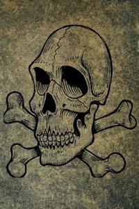 Skull and Crossbones Journal: 160 Page Lined Journal/Notebook