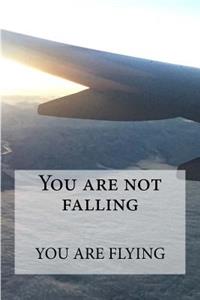You are not falling