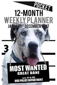 2017 Pocket Weekly Planner - Most Wanted Great Dane