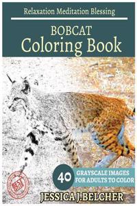 Bobcat Coloring Book for Adults Relaxation Meditation Blessing