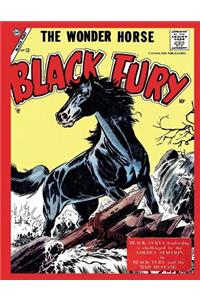 Black Fury # 10