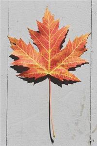 Hello Autumn Maple Leaf Nature Journal
