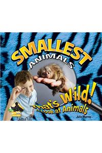 Smallest Animals