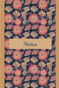 Notes & More