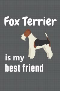 Fox Terrier is my best friend