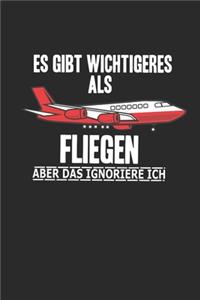 Es gibt wichtigerer als Fliegen aber das Ignoriere ich