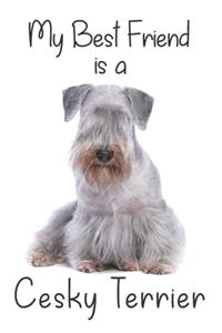 My best Friend is a Cesky Terrier