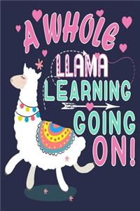 A Whole Llama Learning Going On!