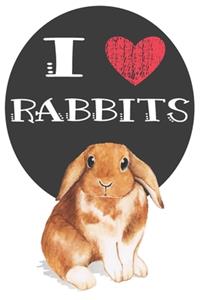 I Heart Rabbits