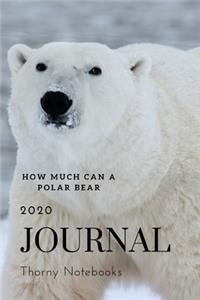 2020 Journal