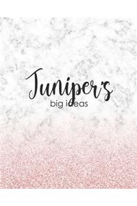 Juniper's Big Ideas