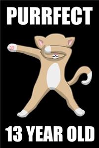 Purrfect 13 Year Old Dabbing Cat
