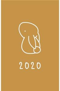 2020