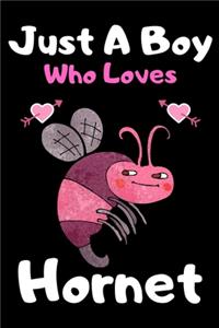 Just a boy who loves Hornet