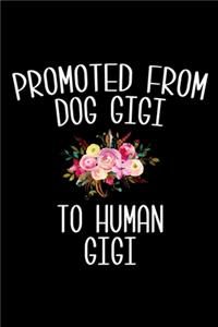 Promoted From Dog Gigi to Human Gigi
