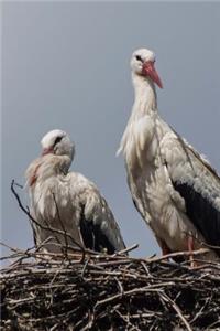 A Couple of Storks Checking You Out Journal