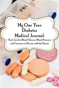 My One-Year Diabetes Medical Journal