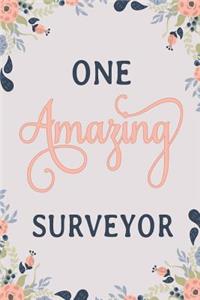 One Amazing Surveyor