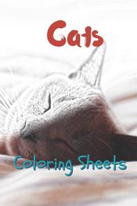 Cat Coloring Sheets