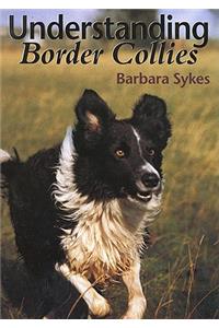 Understanding Border Collies