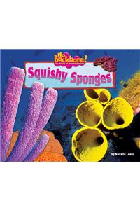 Squishy Sponges