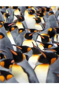A Plethera of Penguins Notebook