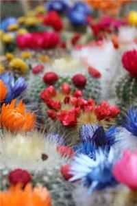 Flowering Cactus Notebook
