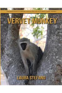 Vervet Monkey