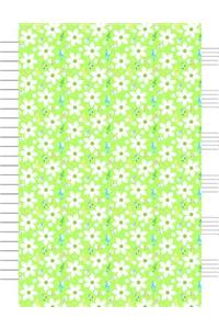 Songwriting Notebook