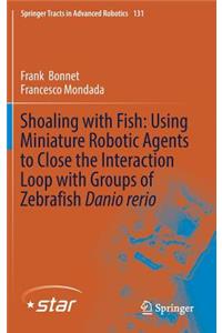 Shoaling with Fish: Using Miniature Robotic Agents to Close the Interaction Loop with Groups of Zebrafish Danio Rerio