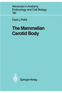 The Mammalian Carotid Body