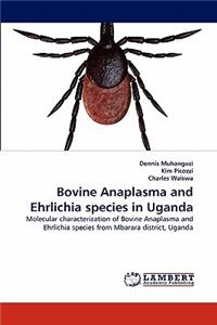 Bovine Anaplasma and Ehrlichia species in Uganda