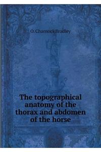 The Topographical Anatomy of the Thorax and Abdomen of the Horse