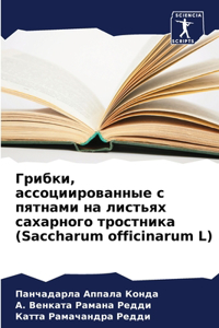 &#1043;&#1088;&#1080;&#1073;&#1082;&#1080;, &#1072;&#1089;&#1089;&#1086;&#1094;&#1080;&#1080;&#1088;&#1086;&#1074;&#1072;&#1085;&#1085;&#1099;&#1077; &#1089; &#1087;&#1103;&#1090;&#1085;&#1072;&#1084;&#1080; &#1085;&#1072; &#1083;&#1080;&#1089;&#10