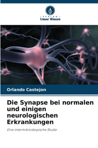 Synapse bei normalen und einigen neurologischen Erkrankungen