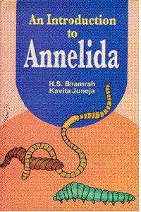 An Introduction To Annelida