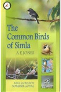 THECOMMAN BIRDS OF SIMLA