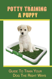 Potty Training A Puppy