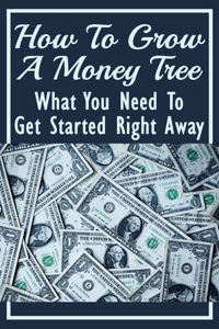 How To Grow A Money Tree