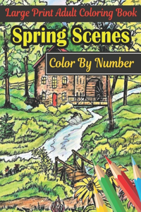 Spring Scenes Color By Number Large Print Adult Coloring Book