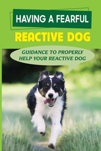 Having A Fearful Reactive Dog