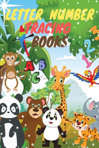 Letter Number Tracing books
